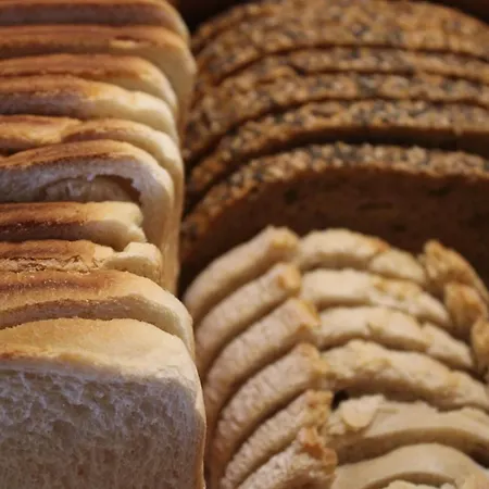 Llenaire Puerto Pollensa